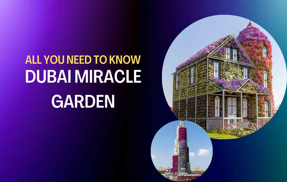 dubai miracle garden reviews and everything you need to know