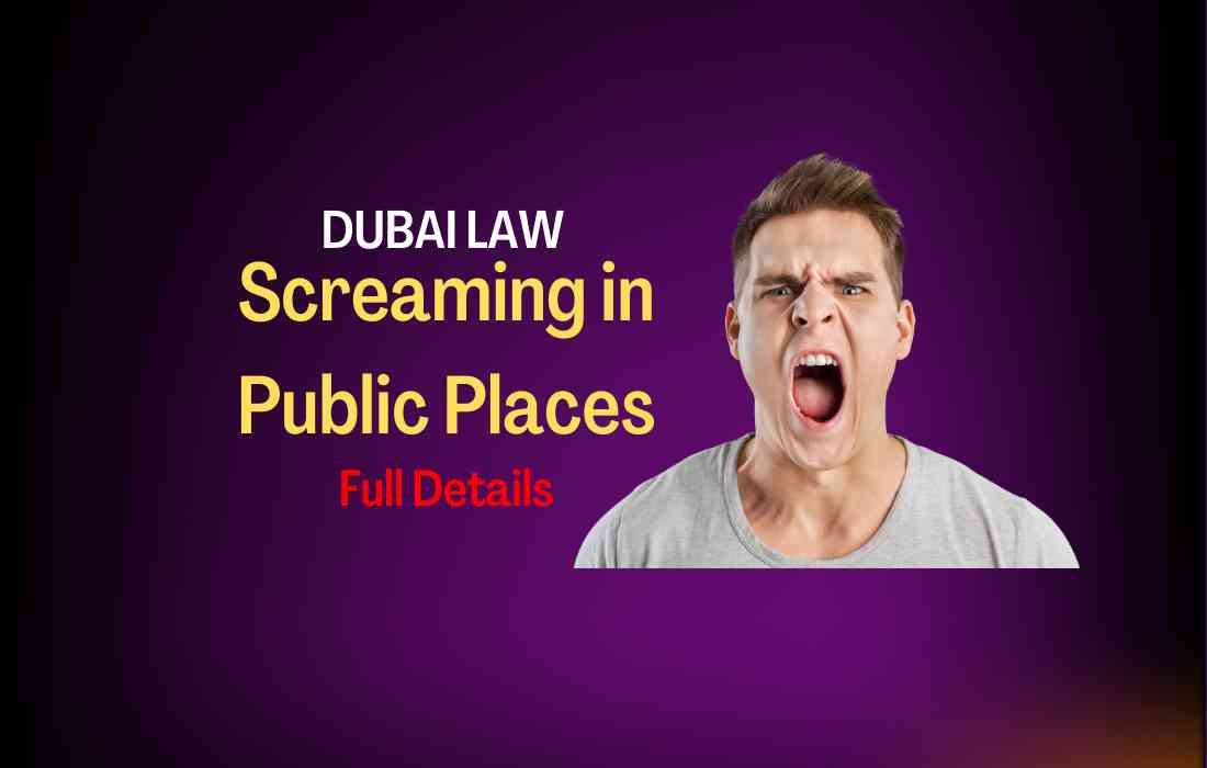 screaming in public places dubai law full details explained