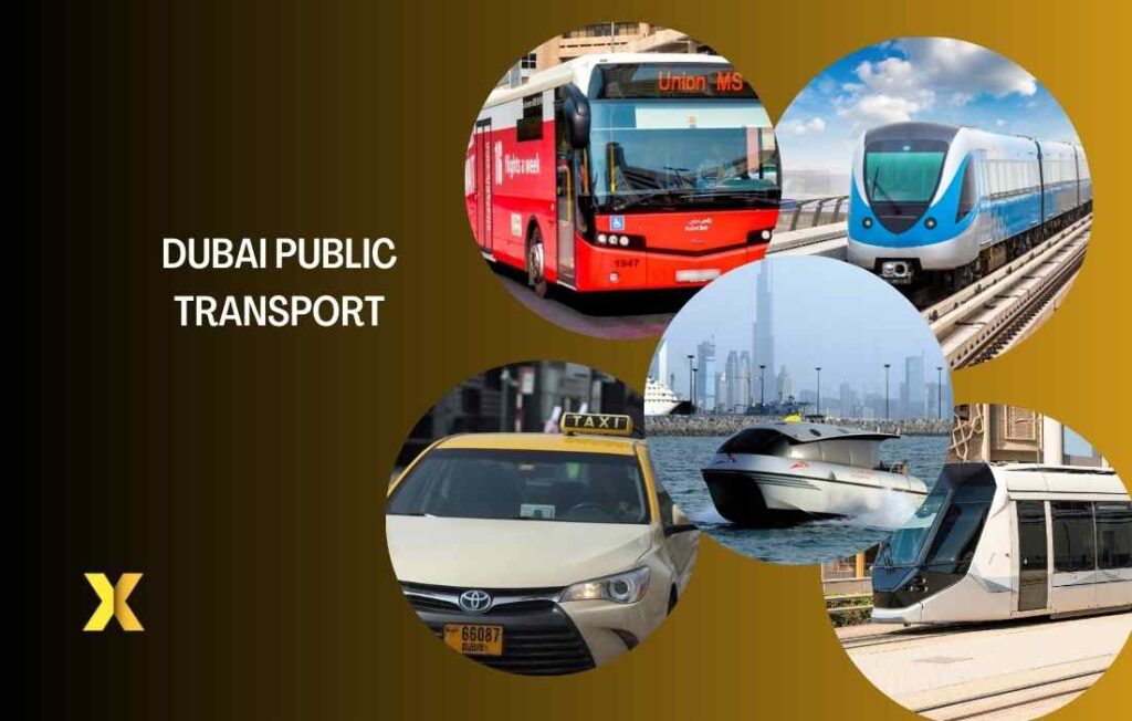 dubai public transport full guide details and everything you need to know